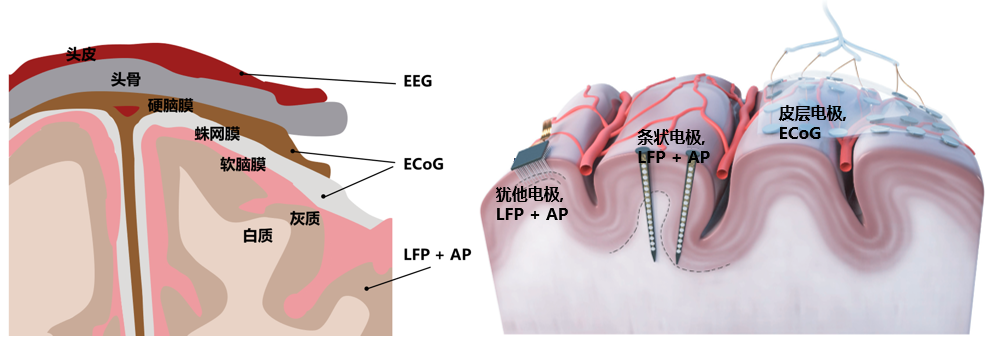 图示 描述已自动生成