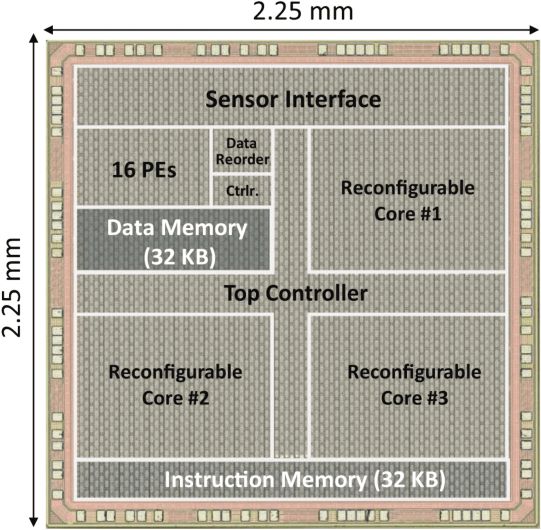 闭环神经调控神经信号处理芯片